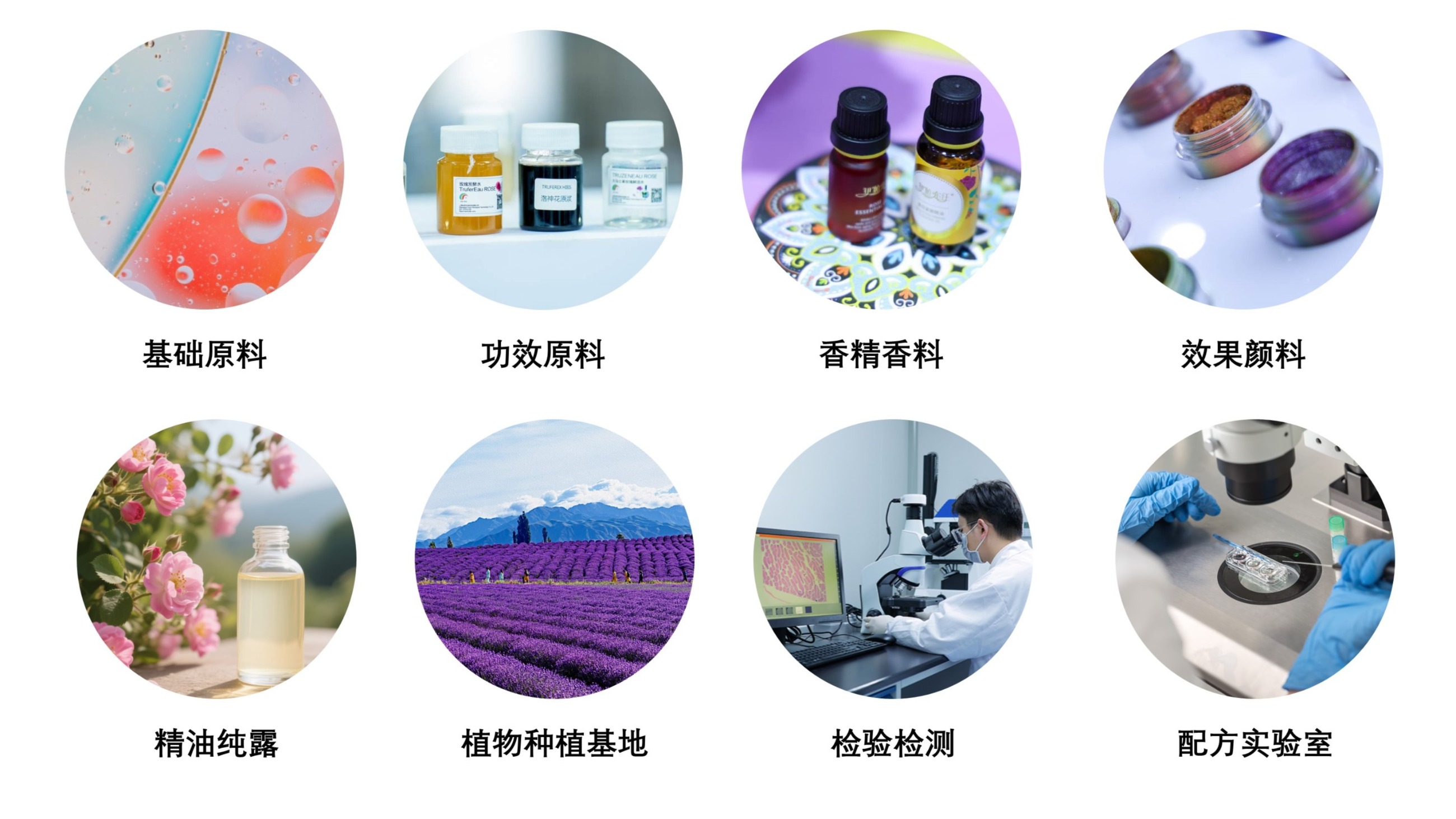 中國美容博覽會 中國美容博覽會