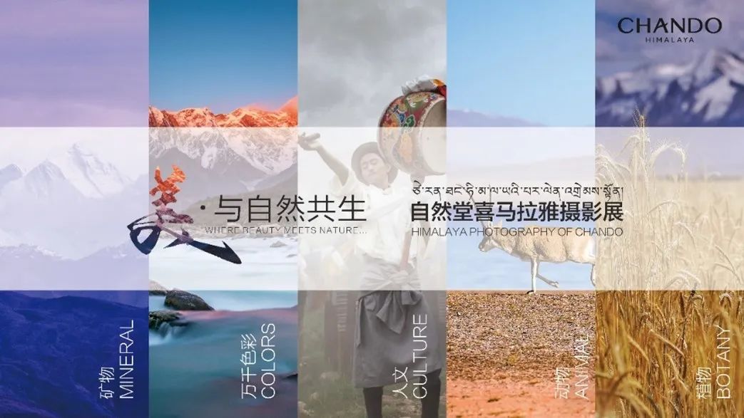 中國美容博覽會(huì)