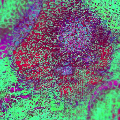 中國美容博覽會 中國美容博覽會