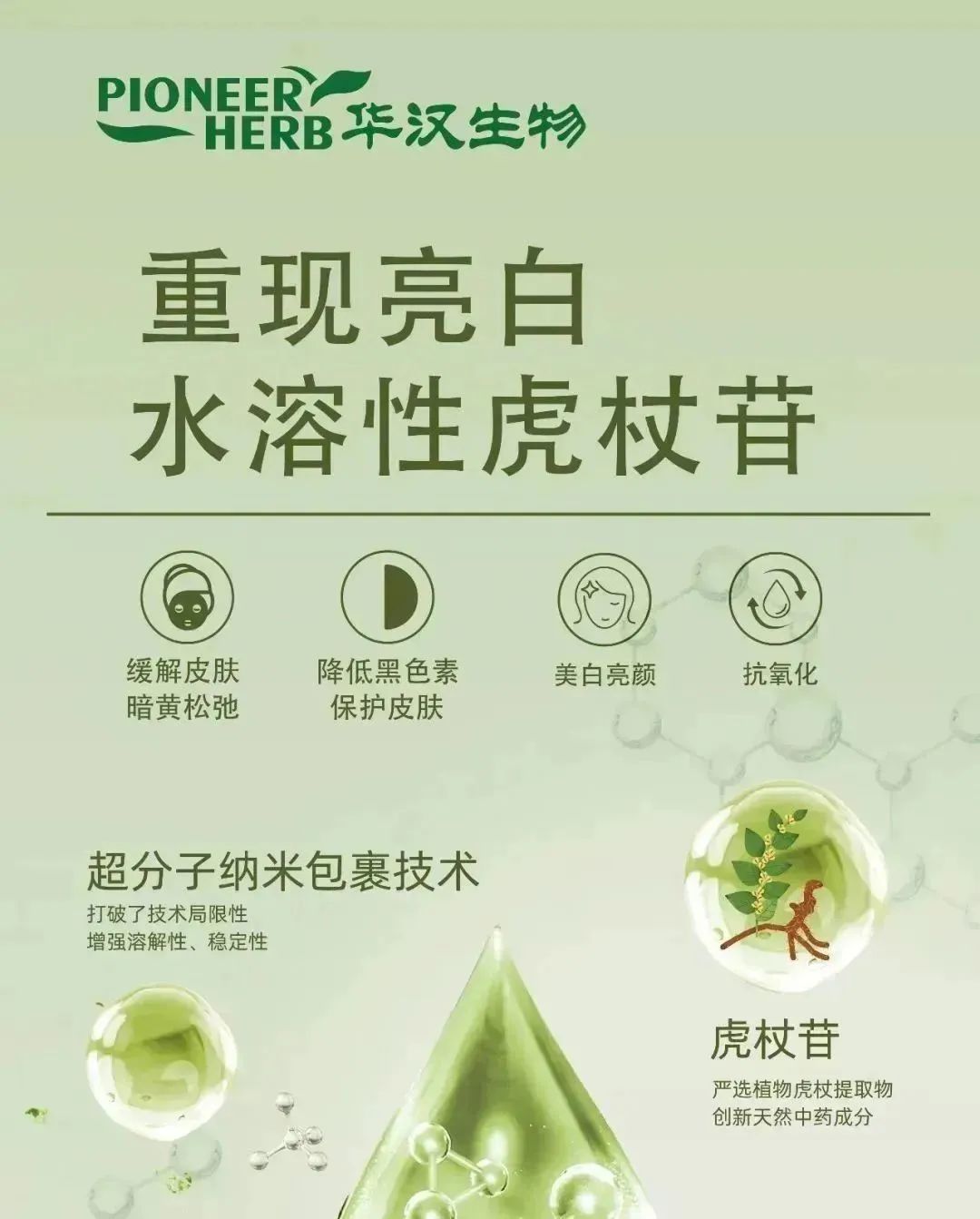 中國美容博覽會(huì)