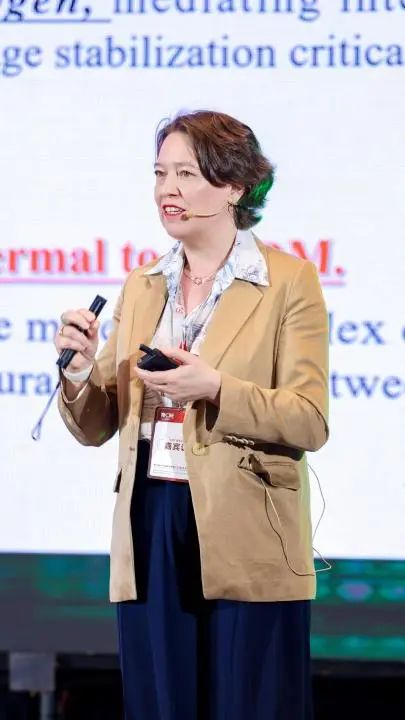 中國(guó)美容博覽會(huì) 中國(guó)美容博覽會(huì)